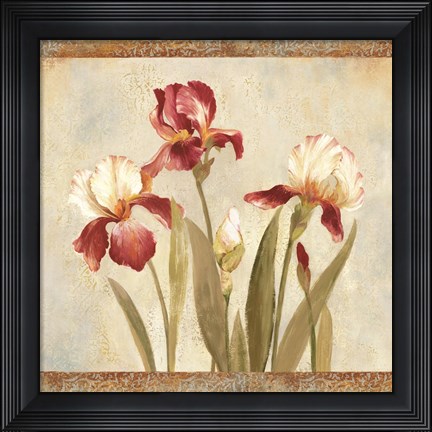 Framed Iris Tapestry II Print