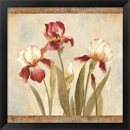 Framed Iris Tapestry II Print