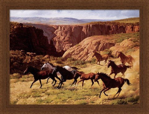 Framed Canyon Mustangs Print