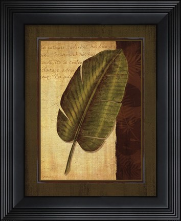 Framed Palm Tropical II Print