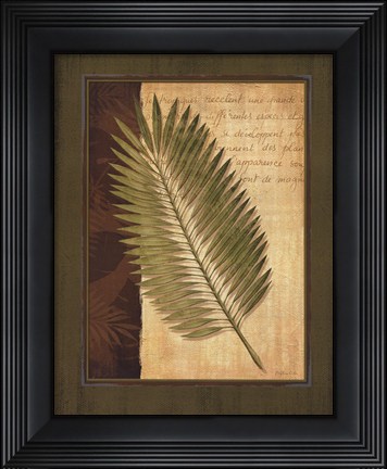 Framed Palm Tropical III Print