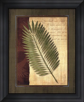 Framed Palm Tropical III - grande Print