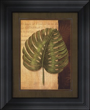Framed Palm Tropical IV Print
