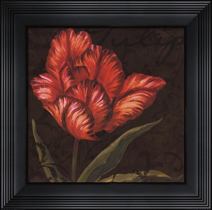 Framed Tulipa I Print