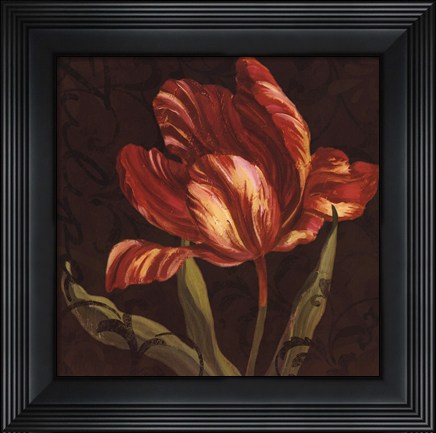 Framed Tulipa II Print