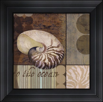 Framed Contemporary Shell II Print
