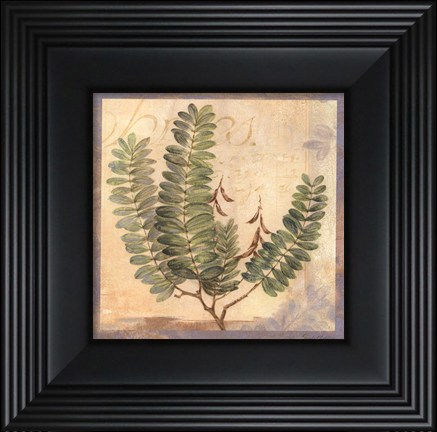 Framed Leaf Botanicals I - petite Print