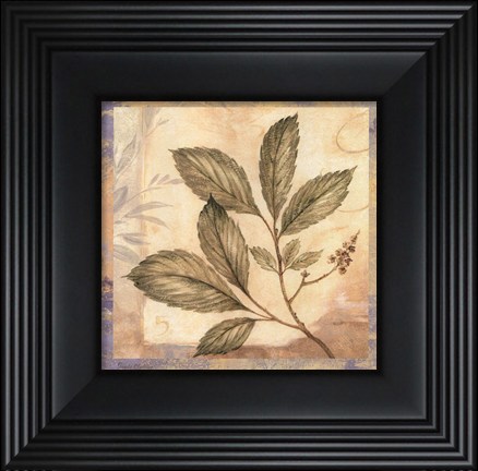 Framed Leaf Botanicals II - petite Print