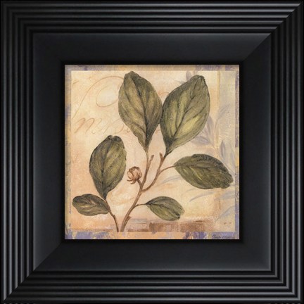 Framed Leaf Botanicals IV - petite Print