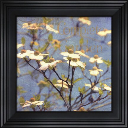 Framed Dogwood I - mini Print