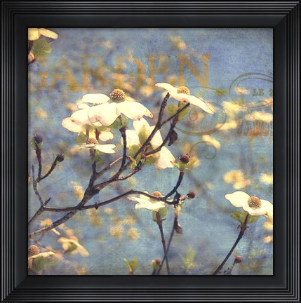 Framed Dogwood II Print