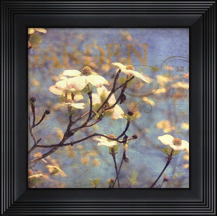 Framed Dogwood II - mini Print
