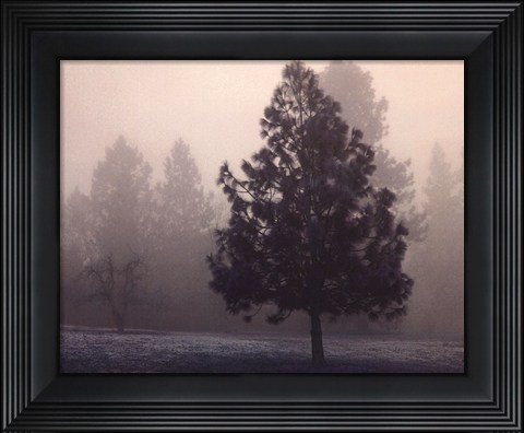 Framed Silent Night Print
