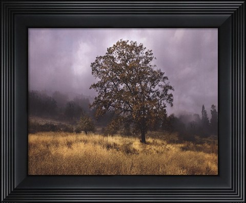 Framed Field of Gold Print