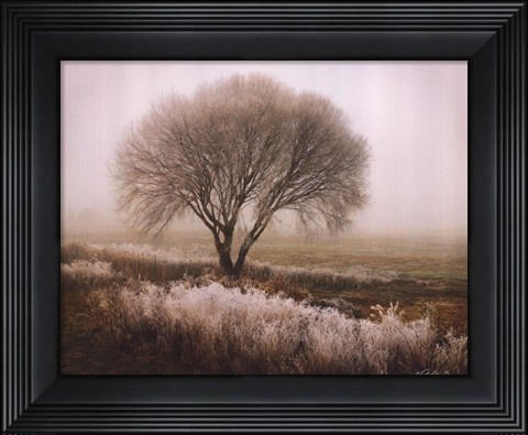 Framed Tranquility I Print