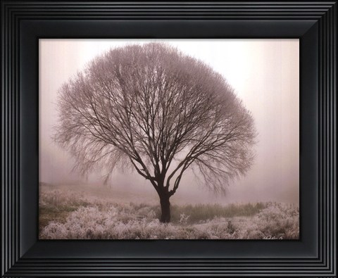 Framed Tranquility II Print