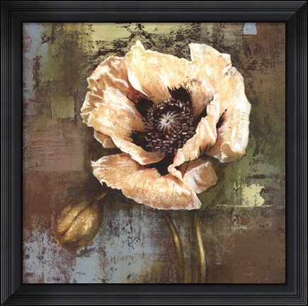 Framed Papaver I - grande Print