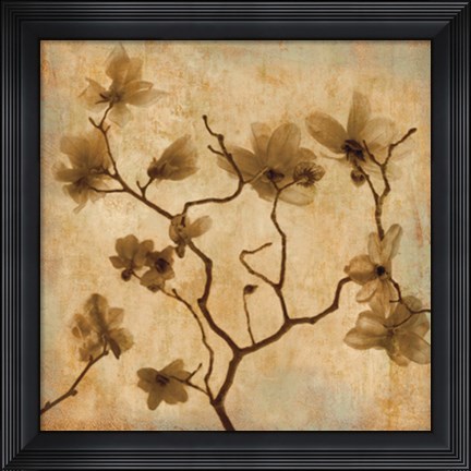 Framed Magnolias I Print