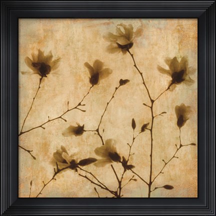 Framed Magnolias II Print