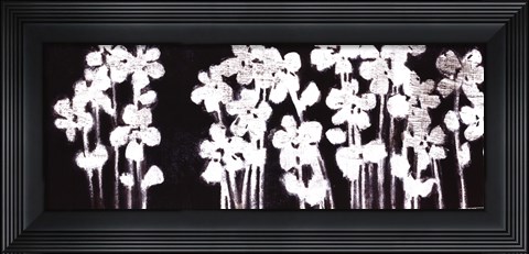 Framed White Flowers on Black I Print