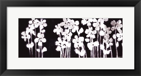 Framed White Flowers on Black I Print