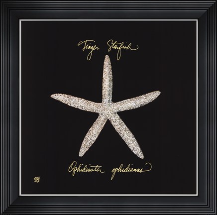 Framed Striking Shells I Print