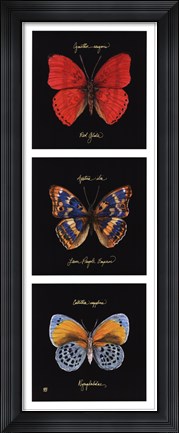 Framed Primary Butterfly Panel I Print