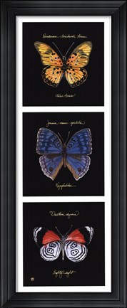 Framed Primary Butterfly Panel II Print
