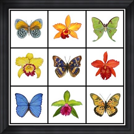 Framed Exotic 9-patch Print