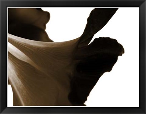 Framed Reveal on White II Print