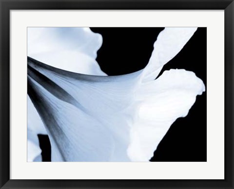 Framed Reveal on Black II Print