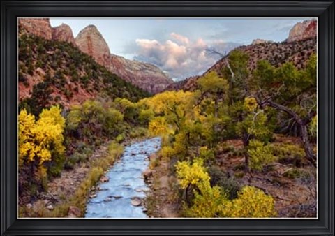 Framed Brilliant View I Print