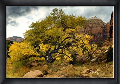 Framed Brilliant View III Print