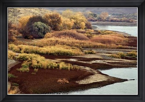 Framed Brilliant View IV Print