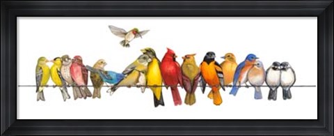 Framed Large Bird Menagerie Print