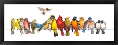 Framed Large Bird Menagerie Print