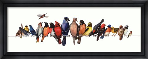 Framed Large Bird Menagerie Print