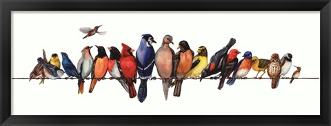 Framed Large Bird Menagerie Print