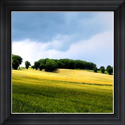 Framed Larrissingle I Print