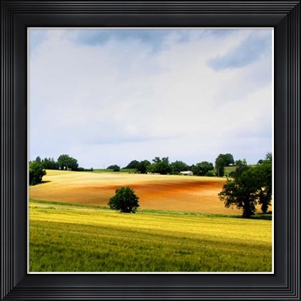 Framed Larrissingle II Print