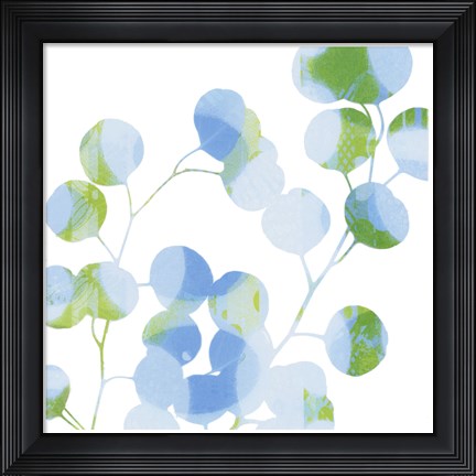 Framed Blue Plums II Print