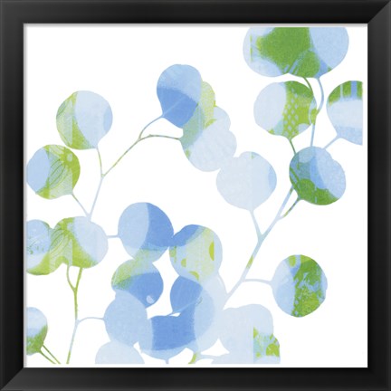 Framed Blue Plums II Print