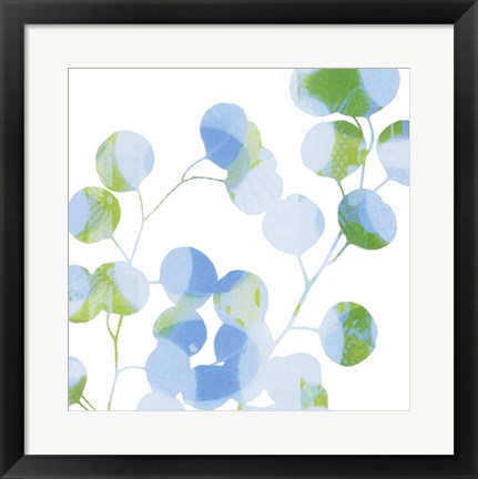 Framed Blue Plums II Print