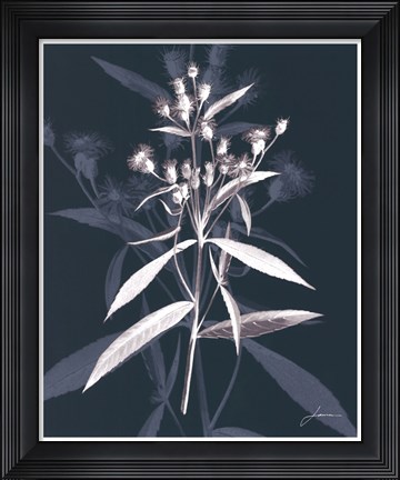 Framed Jewel Stems I Print