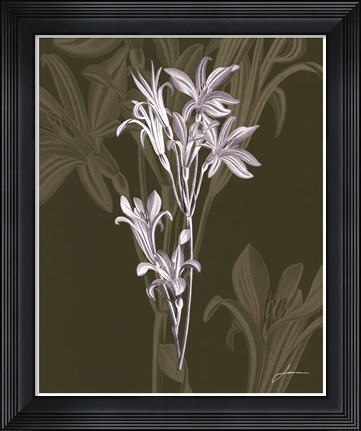 Framed Jewel Stems II Print