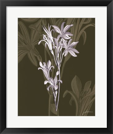 Framed Jewel Stems II Print