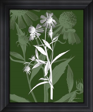 Framed Jewel Stems III Print