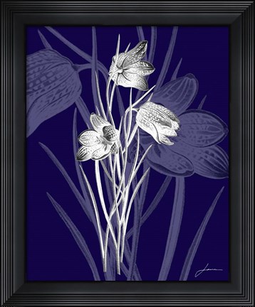 Framed Jewel Stems IV Print