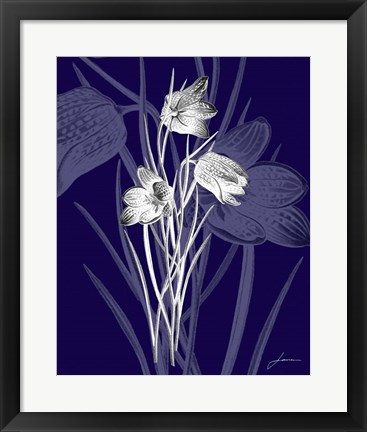 Framed Jewel Stems IV Print