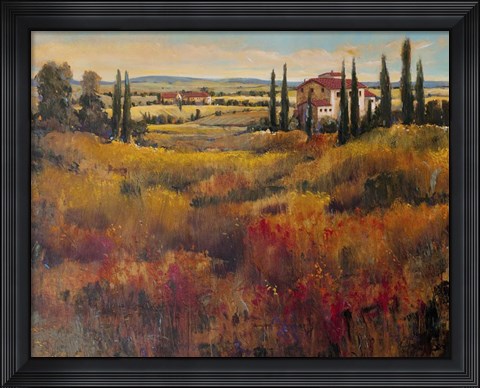 Framed Tuscany I Print